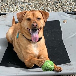 Meet your Posher, Andrew